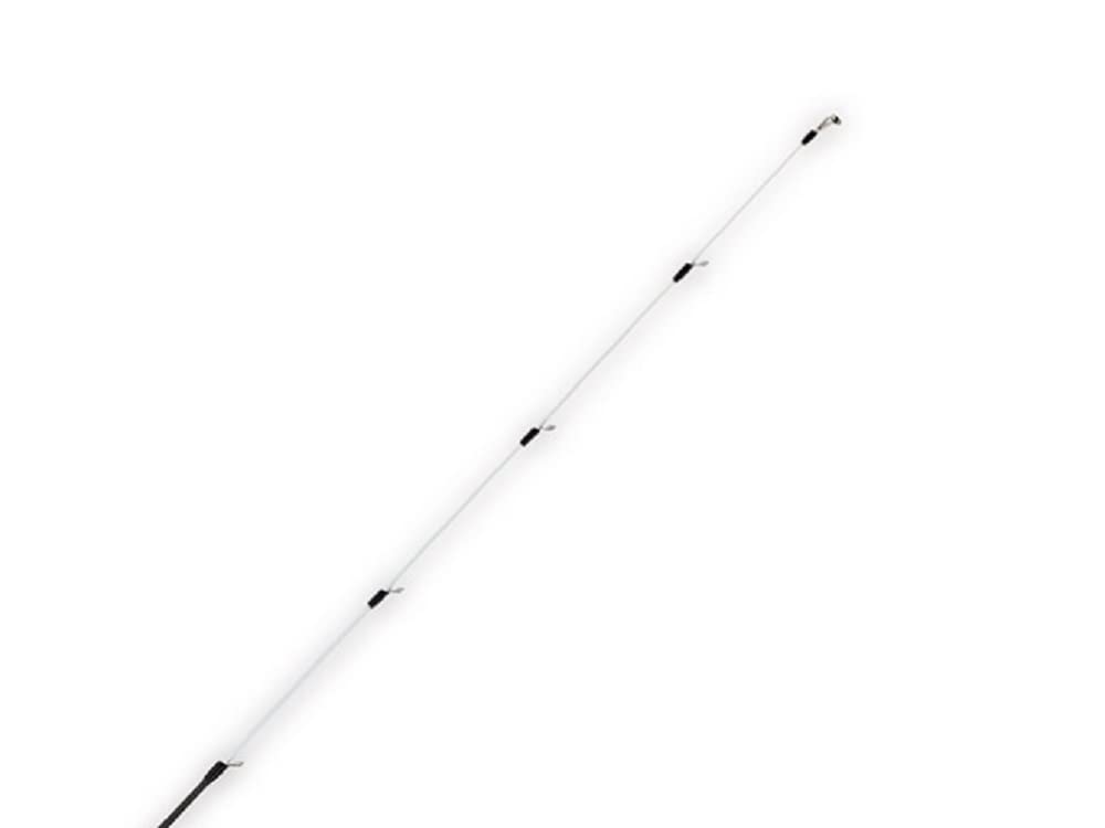 Amazon | BLACK LION ブラックライオン スクイッドラン SQUIDRUN 64h