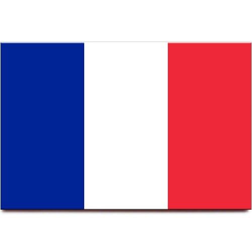 Imán para refrigerador bandera Francia 2x3 pulg miniatura 2
