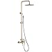 RBROHANT Outdoor Shower, Wall Mount Outdoor Shower Kit, Outside Shower Faucet with Height Adjustable Rain Shower Head and Handheld, Exposed Shower for Backyard, Wall Mounted, Brushed Gold, JK0147