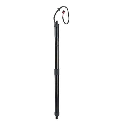 Support électrique de hayon LR137883 pour simplifier le coffre de votre Discovery L550