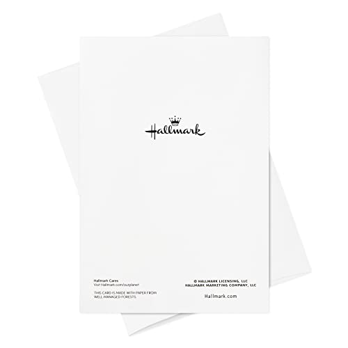 Hallmark Boxed Christmas Cards Assortment, 24 Designs (24 Cards and Envelopes) (5XPX2338)