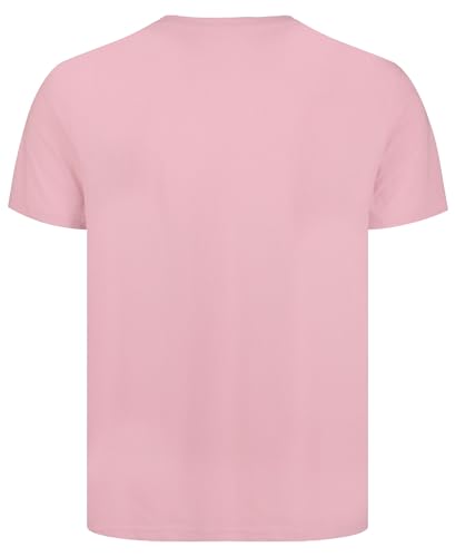 Mens Wingstar Logo Tee, Lifestyle Short Sleeve T-Shirt, Standard Fit with Graphic3