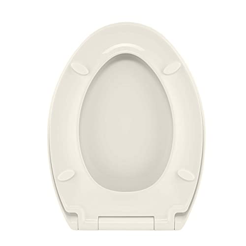 Where to buy Toto Toilet Seat Bidet Parts Diagram ? (Reviews of 2024)