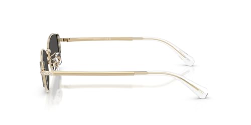 Oakley Women's Sk7035d Oval Sunglasses3