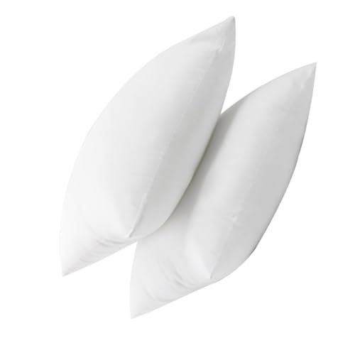 Relleno para cojines cuadrados Gadpiparty: 2 insertos de almohada mullidos para sofá 2