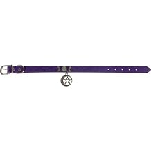 Vegan Leather Cat and Dog Collar Crescent Moon with Pentacle, Medium, Gifts, Pet Accessories