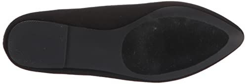 Image of Trotters Harlowe