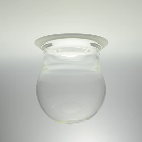 PROGLASS Laboratory Separately Reactor Cylinder Flask with Flange (3000mL)