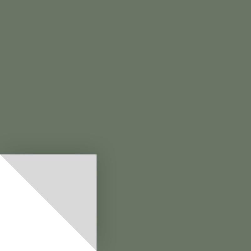Samplize Benjamin Moore Cushing Green Peel & Stick Color Sample H...
