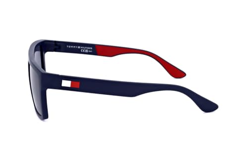 Tommy Hilfiger Modern Sunglasses3