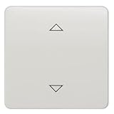  5TG7960-DELTA PROFIL, TITANWEISS WIPPE mit JALOUSIESYMBOLEN F.TASTER 1-FACH MITT