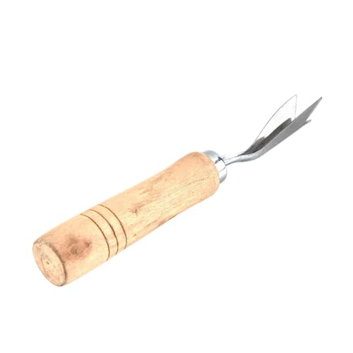 Pelador de piña - Multifuncional en forma de V de acero inoxidable - Pelador de frutas y removedor de núcleos, para ensaladas, brunch, cocina, camping, picnic, restaurante, fiesta, barbacoa y para