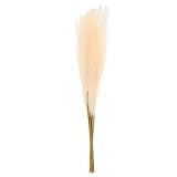 Photo Gallery qumiirity 10pezzi pz di piante decorative artificiali pampa per decorazioni casa bouquet e eventi speciali fiori sintetici bianchi per matrimonio e feste Photo Gallery qumiirity 10pezzi pz di piante decorative artificiali pampa per decorazioni casa bouquet e eventi speciali fiori sintetici bianchi per matrimonio e feste