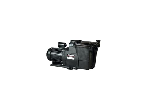 Pompe Super Pump 1,50 CV / 18 m³/h Mono - Hayward