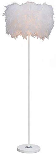 Dimmable Portable Floor Light Lamp Floor Lamps Creative European Floor Lamp Feather Floor Lamp Romantic Warm Girl Room Dress Up Floor Lamp Standing Light Lamp (Color : White 1) 调光