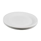 Homoyoyo 100 piezas Unidades Platos Desechables Diseño Plano Seguro para Alimentos para Barbacoas Picnic Fiestas Reuniones Familiares