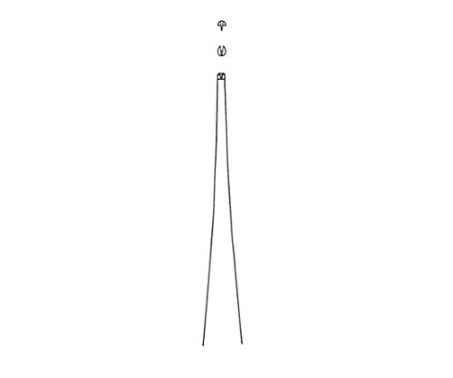 PINZA QUIRURGICA 1 x 2 DIENTES 110 MM (NDR) BRAUN