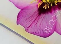 アート・デザイン・音楽 BLOOM Ron Van Dongen A BLOOM A DAY 】Ron van Dongen サイン本 ビンテージ | RA