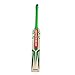 Gray Nicolls Maax English Willow Cricket Bat (SH): Natural Willow