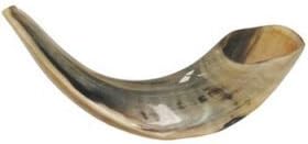 Large Shofar (Rams Horn)