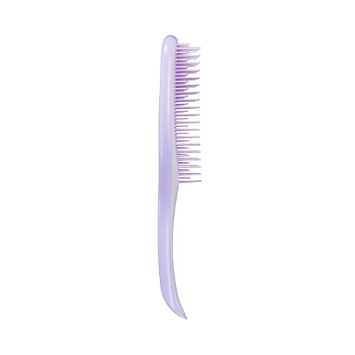 Tangle Teezer | The Detangle & Massage Hairbrush Bundle | For Fine, Fragile Or Color-Treated | The Ultimate Detangler Fine & Fragile And The Scalp Exfoliator & Massager #TOP1