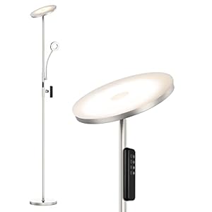Anten Lampadaire Sur Pied Salon 30W Lampe LED à Pied avec Liseuse Flexible 5W | Lumière à Personnaliser | Télécommande Magnétique | Moderne Decoration pour Chambre Bureau Café Hôtel – Nickel