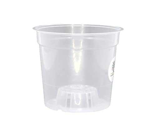 meindekoartikel 12 Orchideentöpfe Pflanztöpfe zum Züchten und Pflegen von Orchideen aus Kunststoff - transparent (Ø 14,5cm x Höhe 12cm)