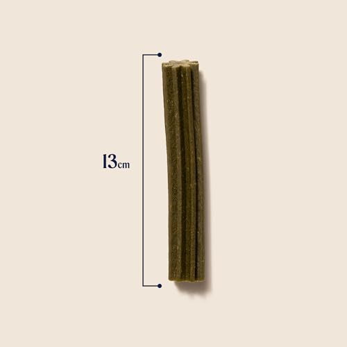 Pooch & Mutt - Superfood Dental Sticks für Hunde, Dental Sticks mit Spirulina- und Minzegeschmack für Hunde, 1 Packung mit 7 Sticks