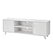 Panana Modern TV Stand, Entertainment Center Television Stands Console with 2 Doors & Shelves Media Console (White, 63