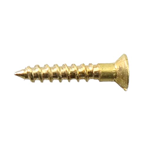 Tornillos autorroscantes de latón M2 x 12mm, 25 unidades miniatura 4
