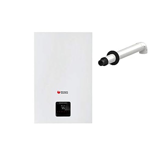 Vaillant 0010026147 Caldera de condensación THEMATEK 24-AS/1 metano pared de interior