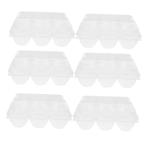 OFFSCH 6pcs Clear Goose Egg Carton Egg Packaging Holder for Safe Storage and Transport for Fridge Organization and Gifting