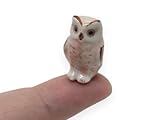 Charmantes Stück: Wenn Sie ein Eulenliebhaber sind, ist diese winzige Figur genau das Richtige für Sie! Sie können sie mit anderen dekorativen Tierstücken kombinieren, um eine Menagerie in Ihrem Zuhause zu schaffen. Diese Figur kann Ihrem Terrarium, Tablettgarten oder Bastelarbeiten wie Armbänder und Ohrringe Niedlichkeit verleihen.