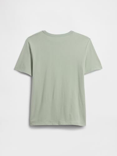 Image of Gap Boys' Short Sleeve Graphic T-Shirt