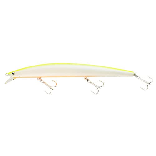 SEA DREAM- DAIWA TOURNAMENT SHINER SL-S 170 mm 30,5 g