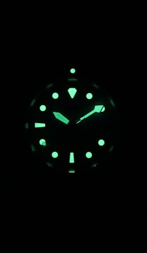 RATIO FreeDiver Sapphire Crystal Diver Watch Japanese Automatic Dive Watch 200m Water Resistant Diving Watch for Men