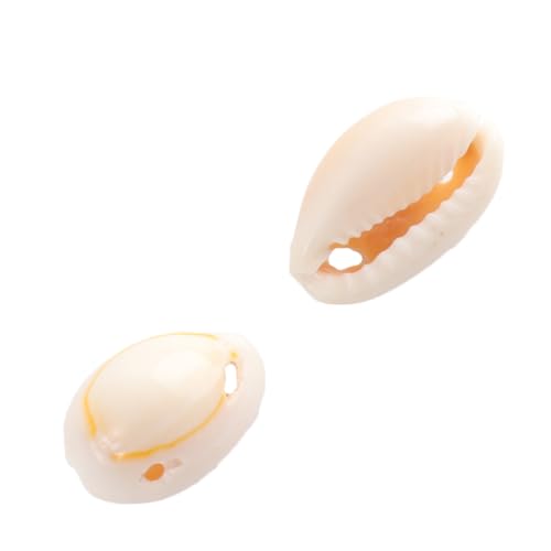 [Abaodam] VRLy_g DiyCOp[c 50 i`݂艺 lnhChANZT[쐬p