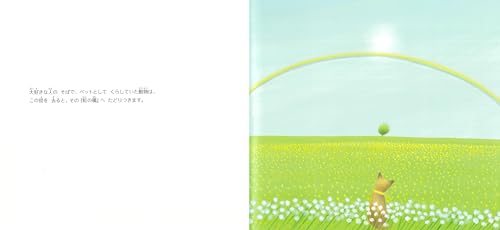 葉祥明　気球にのろう 葉祥明 気球にのろう 葉祥明ネットショップ - YOH SHOMEI NETSHOP