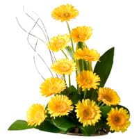 FLORANET Radiant 12 Yellow Gerberas arranged with charm in a classic reusable cane basket For Anniversary, Birthday, Wedding Gift, Congratulations Gift, Mother's Day Gift (Same Day Delivery)-image-14
