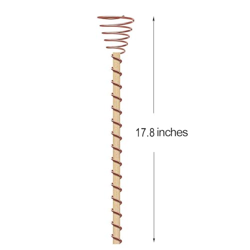 WFIST 24 Pack Electroculture Plant Stakes, Electroculture Copper Gardening Antennas, High-Efficiency Electroculture Gardening Copper Coil for Enhanced Growth, Eco-Friendly Garden Solution (17.8") by WFIST - Used condition - Image 2