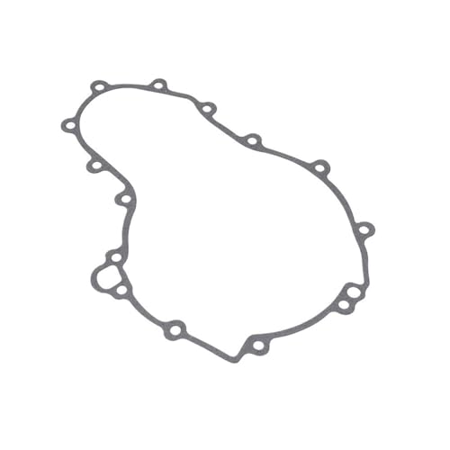 Joint de cylindre de précision pour moto F800GT F800S OEM 11147670688