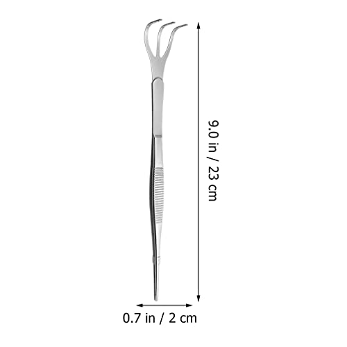 Pinzas para bonsái de acero inoxidable GANAZONO 8.26 in miniatura 5