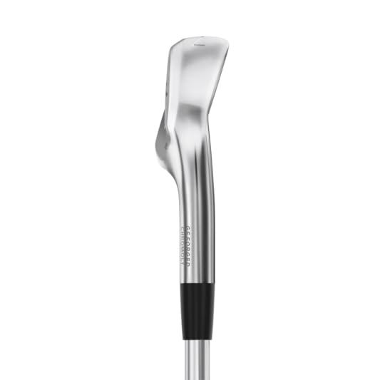 Amazon.com : Mizuno Pro 245 Golf Iron Set | Steel Right Hand