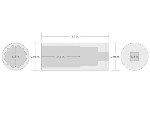 Image of TEKTON 3 /8 Inch Drive x 5 /8 Inch Deep 12-Point Socket | SHD13216