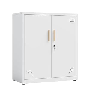 Metal Storage Cabinet with 2 Doors and 2 Adjustable Shelves, Steel Lockable Garage Storage Cabinet, Metal File Cabinet for Home Office School Gym, White