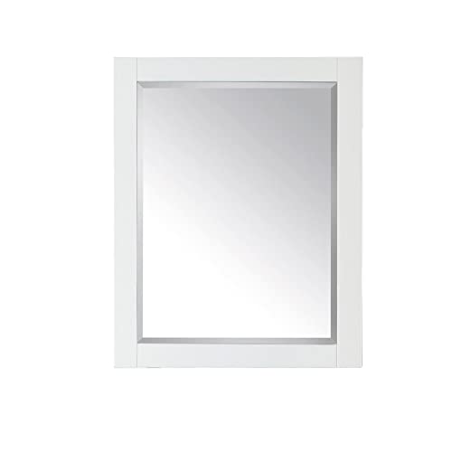Avanity 14000-Mc24-Wt Mirror Cabinet For Brooks/Modero/Tribeca, 24", White Finish #TOP4