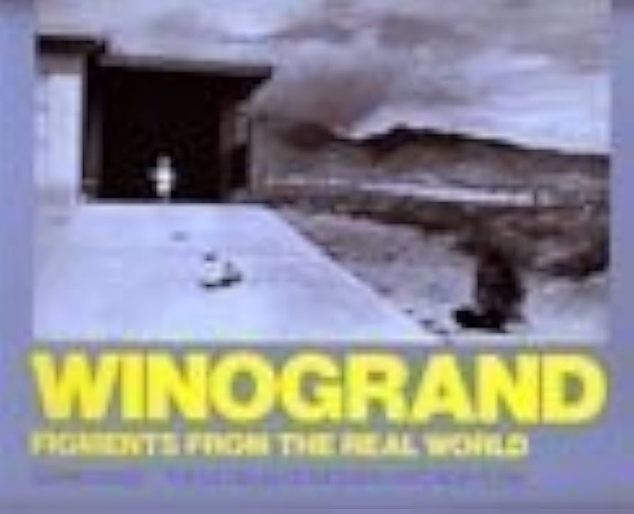 Winogrand　Figments from the Real World 413hoxl6EmL._UF1000,1000_QL80_.jpg