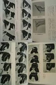 Amazon.co.jp: 大判 山田雅道の日本髪 2冊1.髪型と基礎理論編、2