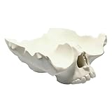 Sculpture anatomique géométrique : ce récipient imprimé en 3D dispose d'un design crânien détaillé avec des sections creuses profondes qui offrent un visuel frappant pour vos invités tout en servant de zone de rangement fonctionnelle pour diverses collations et produits secs