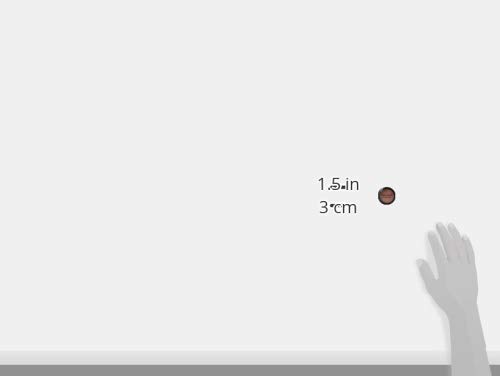 Image of Miss Claire Single Eyeshadow, Matte Finish - 0210 Brown, 2g